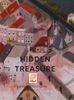Afbeelding van HIDDEN TREASURE