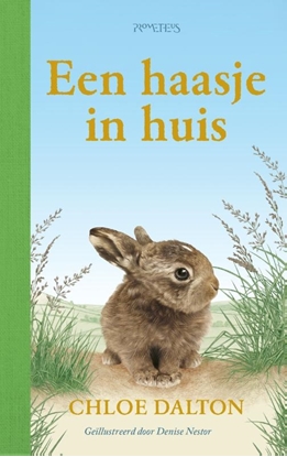 Afbeeldingen van Een haasje in huis