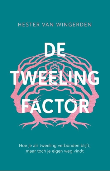 Afbeelding van De tweelingfactor