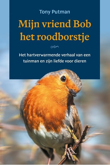 Afbeelding van Mijn vriend Bob het roodborstje