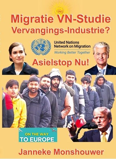 Afbeelding van Migratie VN-Studie