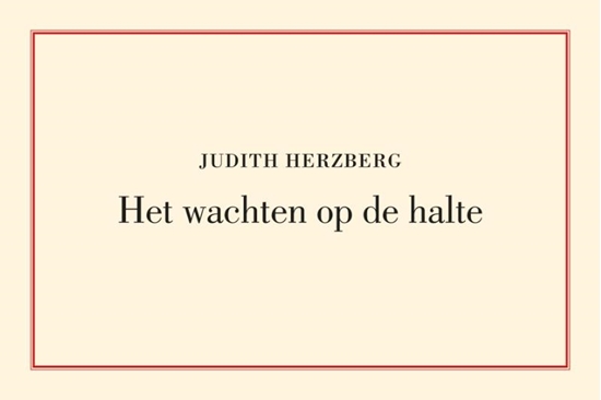 Afbeelding van Het wachten op de halte