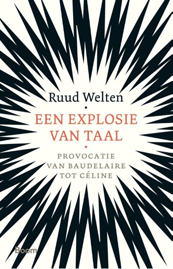 Afbeelding van Een explosie van taal