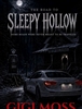 Afbeelding van The Road to Sleepy Hollow