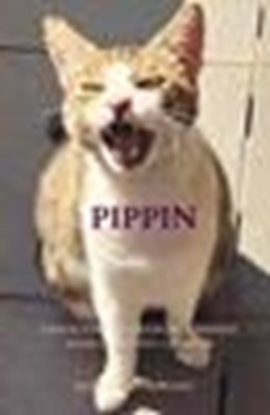 Afbeeldingen van Pippin