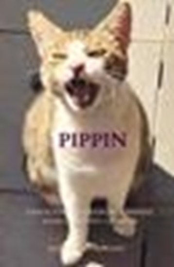 Afbeelding van Pippin