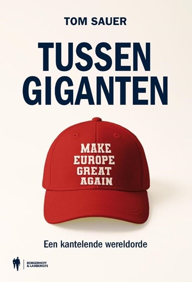 Afbeelding van Tussen giganten
