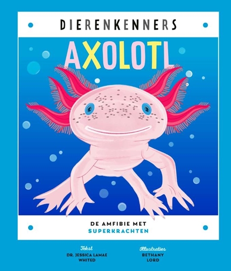 Afbeelding van Dierenkenners Axolotl