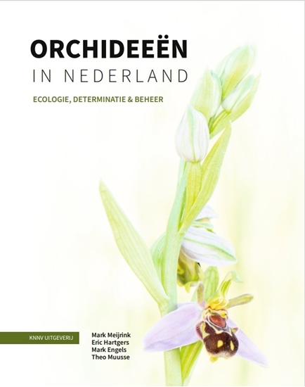 Afbeelding van Orchideeën in Nederland