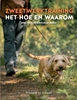 Afbeelding van Zweetwerktraining, het hoe en waarom