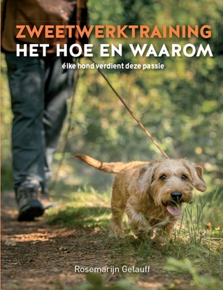 Afbeeldingen van Zweetwerktraining, het hoe en waarom