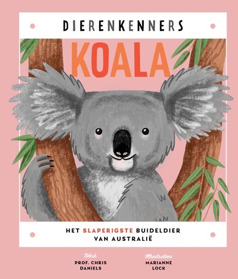 Afbeelding van Dierenkenners Koala