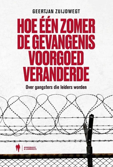 Afbeelding van Hoe één zomer de gevangenis voorgoed veranderde