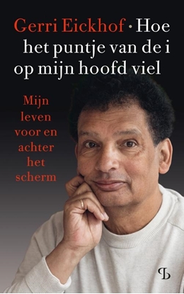 Afbeeldingen van Hoe het puntje van de i op mijn hoofd viel