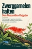 Afbeelding van Zwerggarnelen halten – Dein Neocaridina-Ratgeber