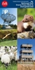 Afbeelding van Falk wandelkaart Drents-Friese Wold & Dwingelderveld