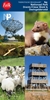 Afbeelding van Falk wandelkaart Drents-Friese Wold & Dwingelderveld