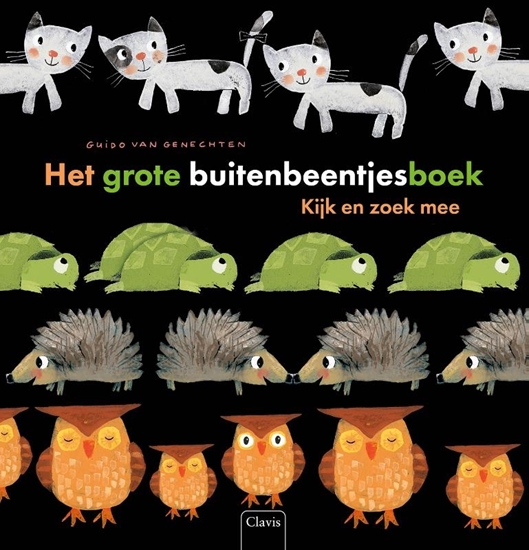 Afbeelding van Het grote buitenbeentjesboek