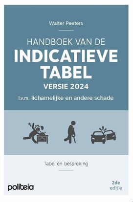 Afbeeldingen van Handboek van de Indicatieve Tabel versie 2024 i.v.m. lichamelijke en andere schade