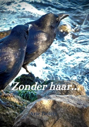Afbeeldingen van Zonder haar...