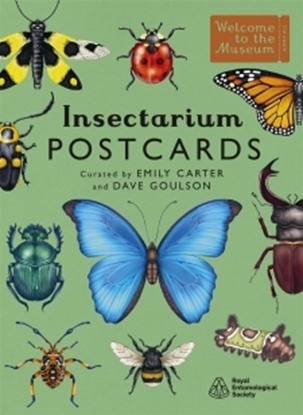 Afbeeldingen van Insectarium Postcards
