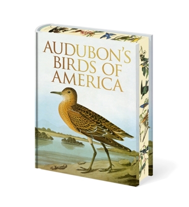 Afbeeldingen van Audubon's Birds of America