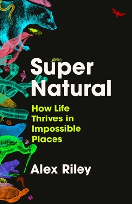 Afbeeldingen van Super Natural